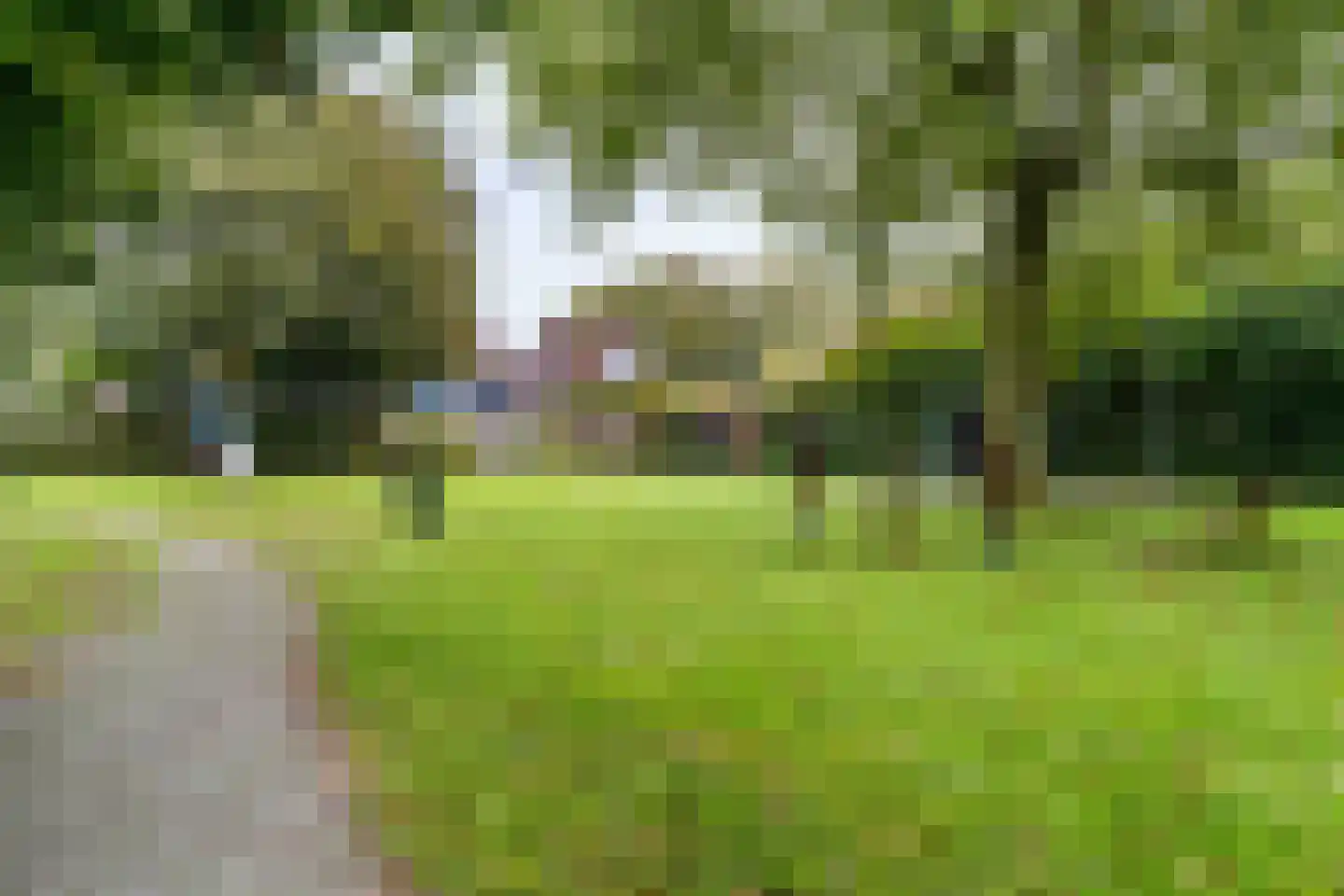 't Roems 9 Hoogkarspel thumbnail 55