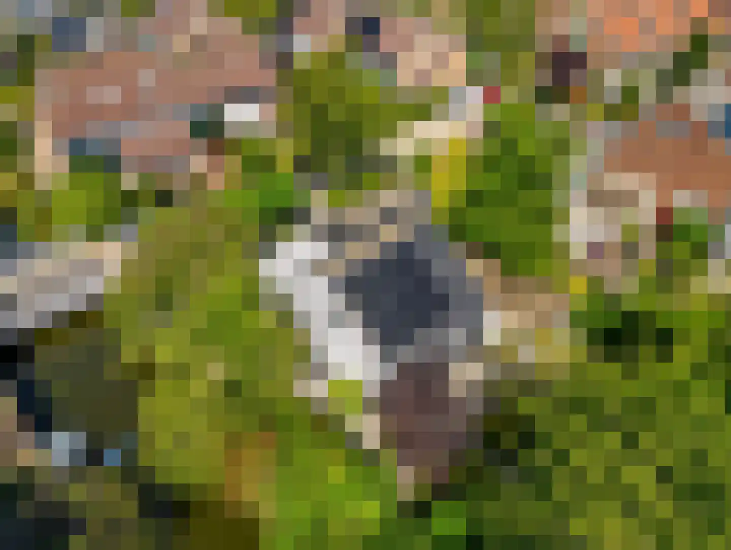 't Roems 9 Hoogkarspel thumbnail 55