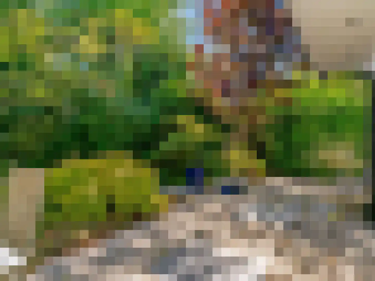 't Roems 9 Hoogkarspel thumbnail 57