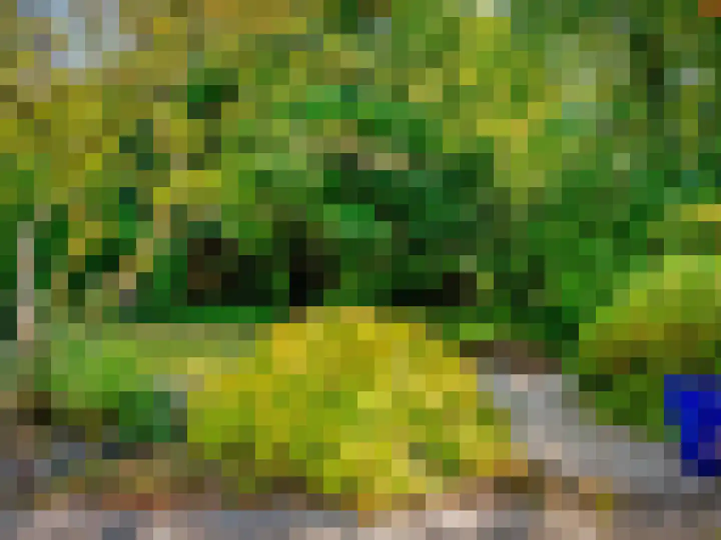 't Roems 9 Hoogkarspel thumbnail 58