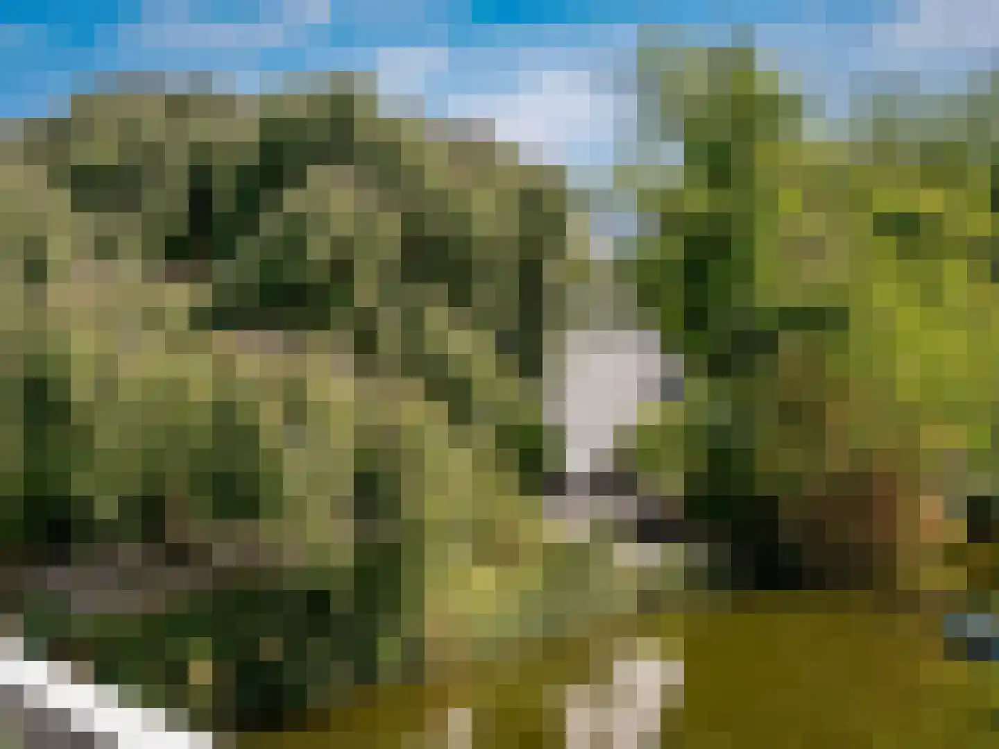't Roems 9 Hoogkarspel thumbnail 59