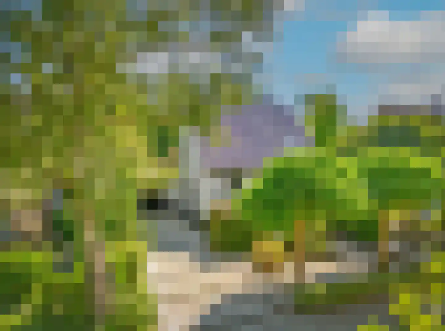 't Roems 9 Hoogkarspel thumbnail 6
