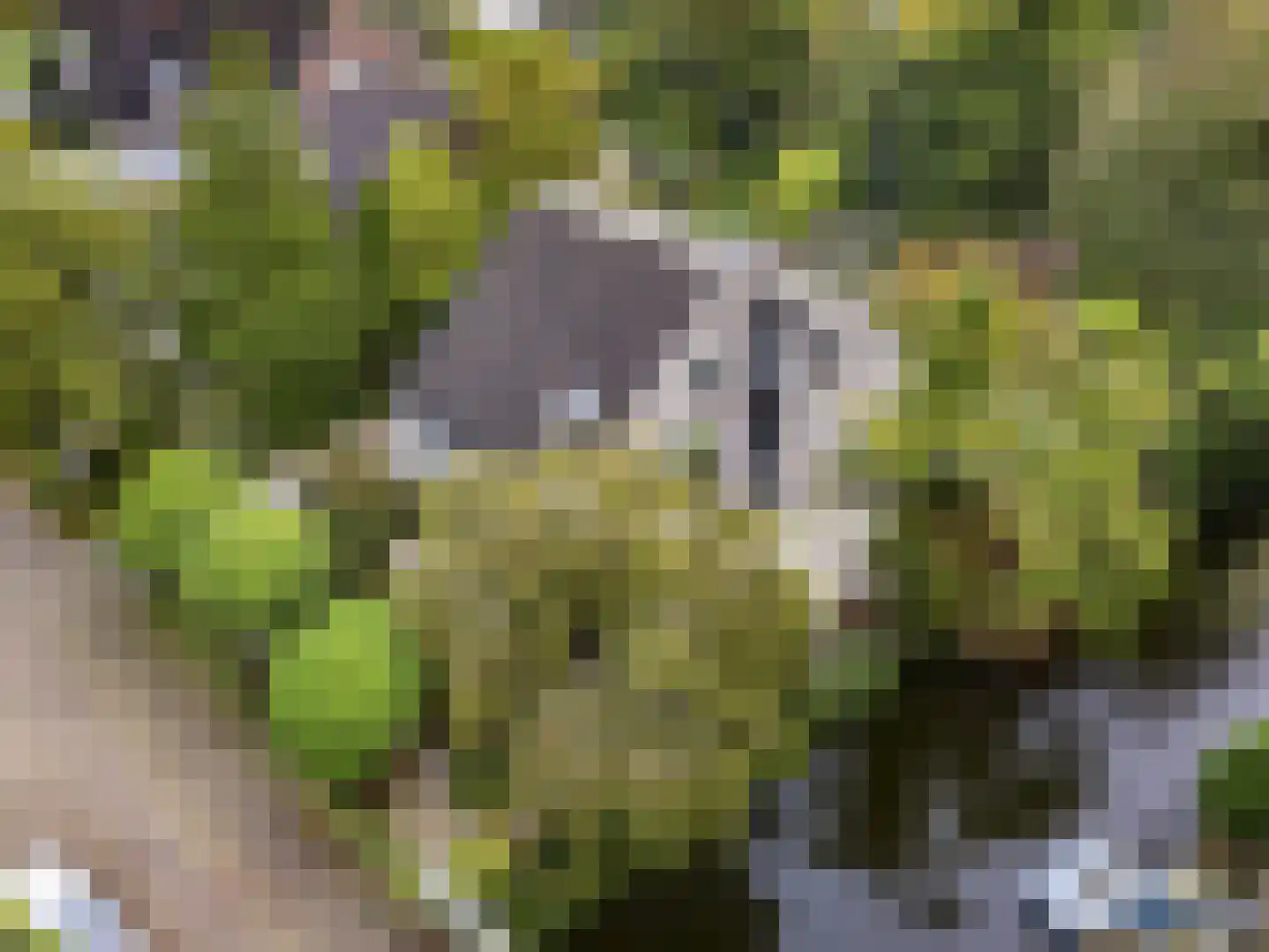't Roems 9 Hoogkarspel thumbnail 6