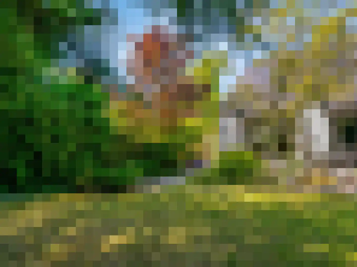 't Roems 9 Hoogkarspel thumbnail 61