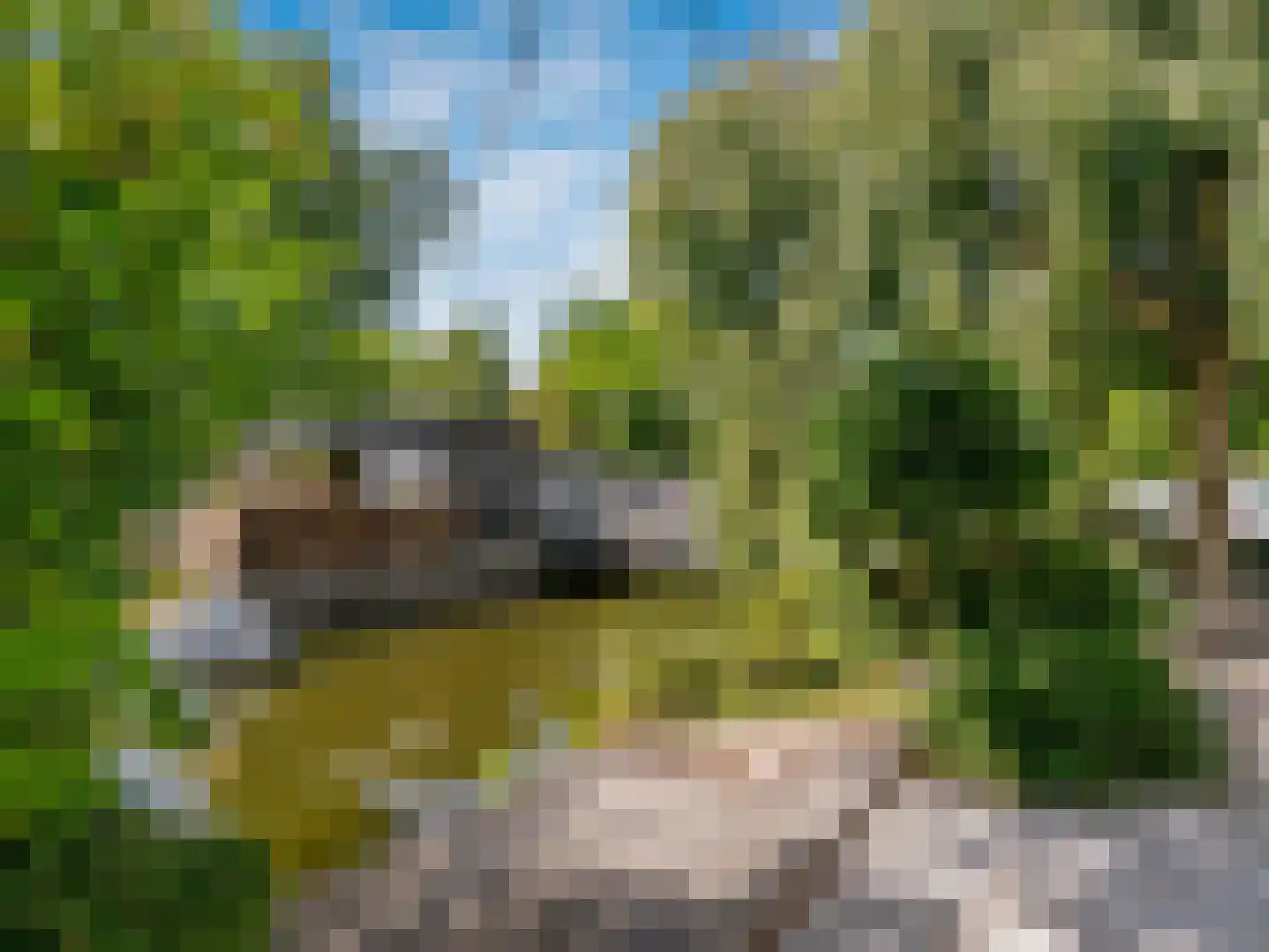 't Roems 9 Hoogkarspel thumbnail 63