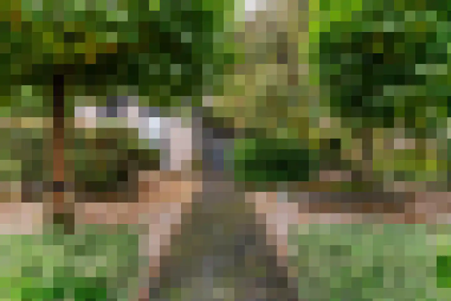 't Roems 9 Hoogkarspel thumbnail 8