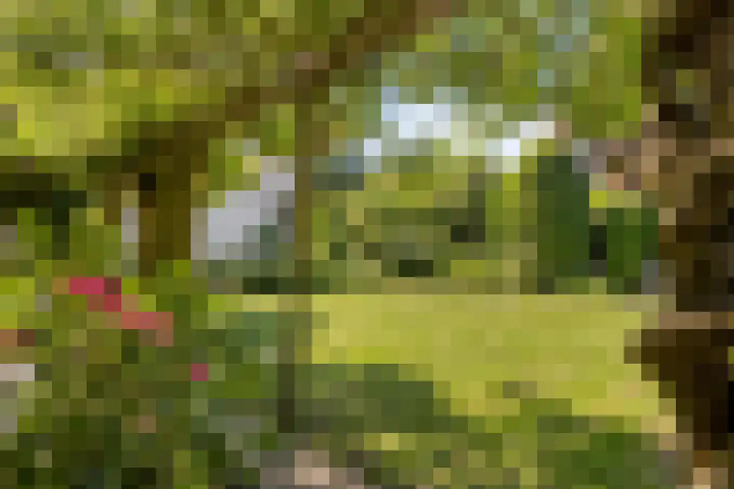 't Rond 6 Loenen aan de Vecht thumbnail 14