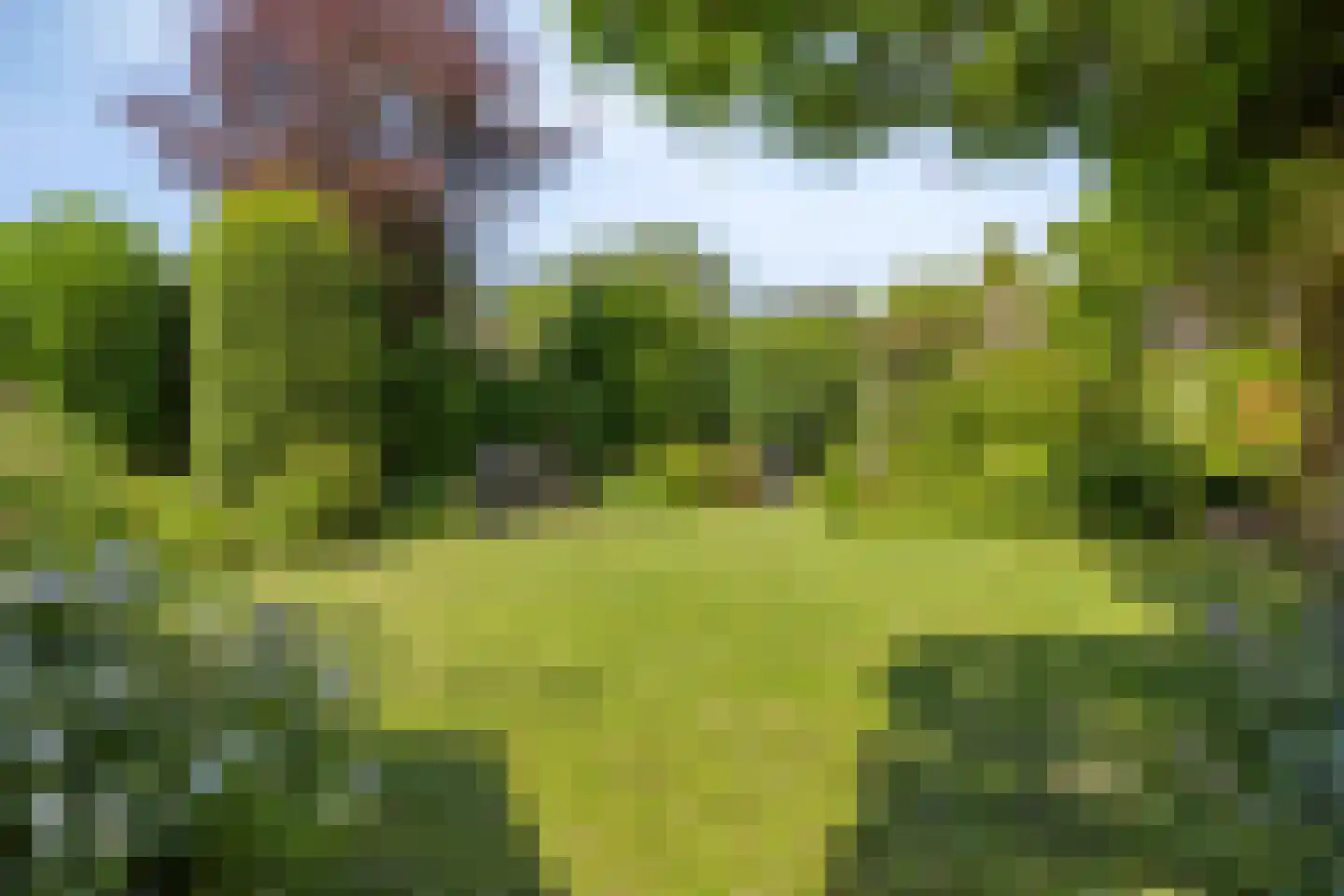 't Rond 6 Loenen aan de Vecht thumbnail 15