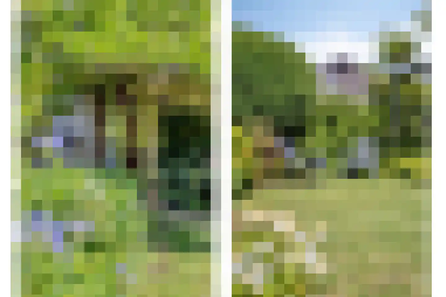 't Rond 6 Loenen aan de Vecht thumbnail 16