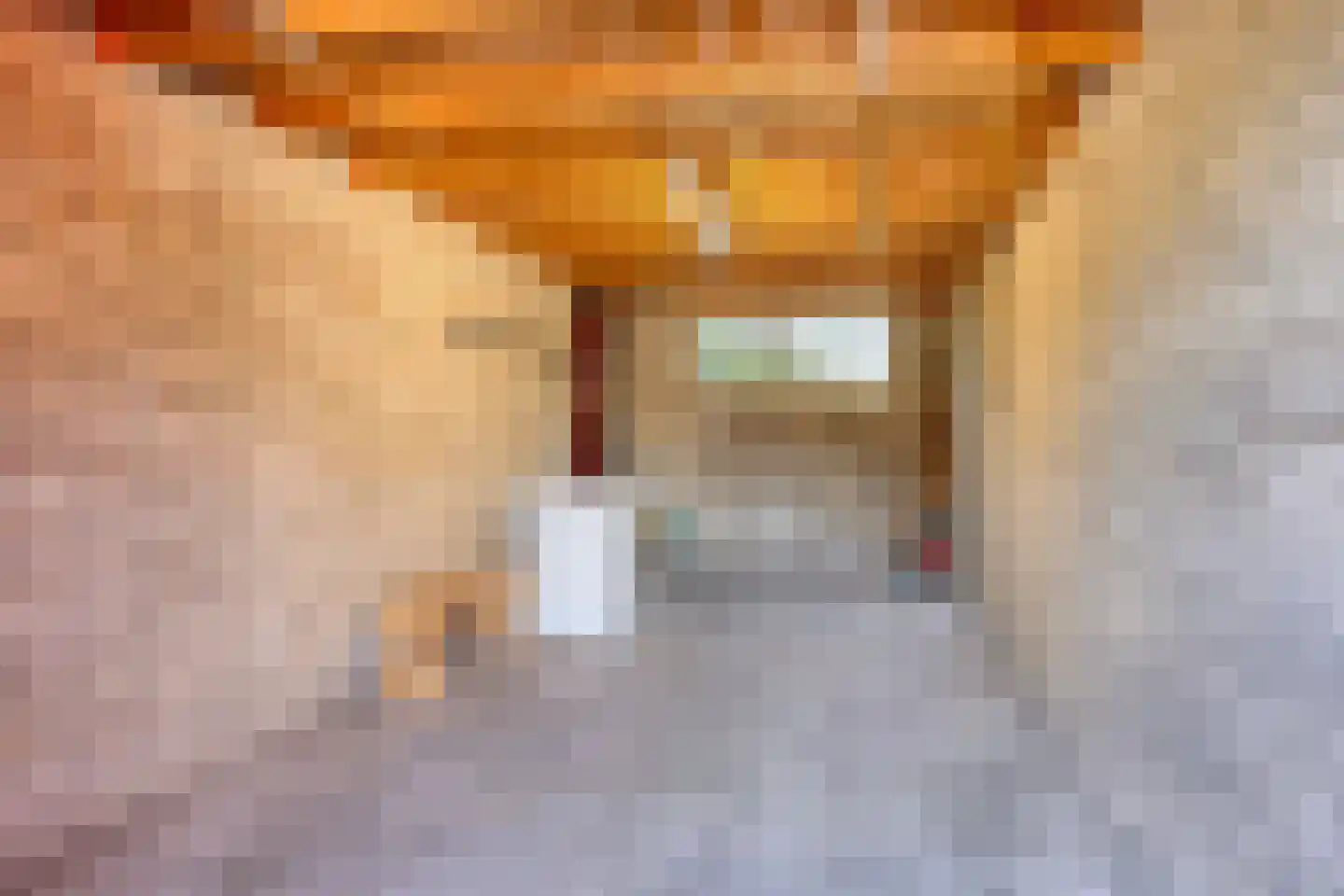 't Rond 6 Loenen aan de Vecht thumbnail 31
