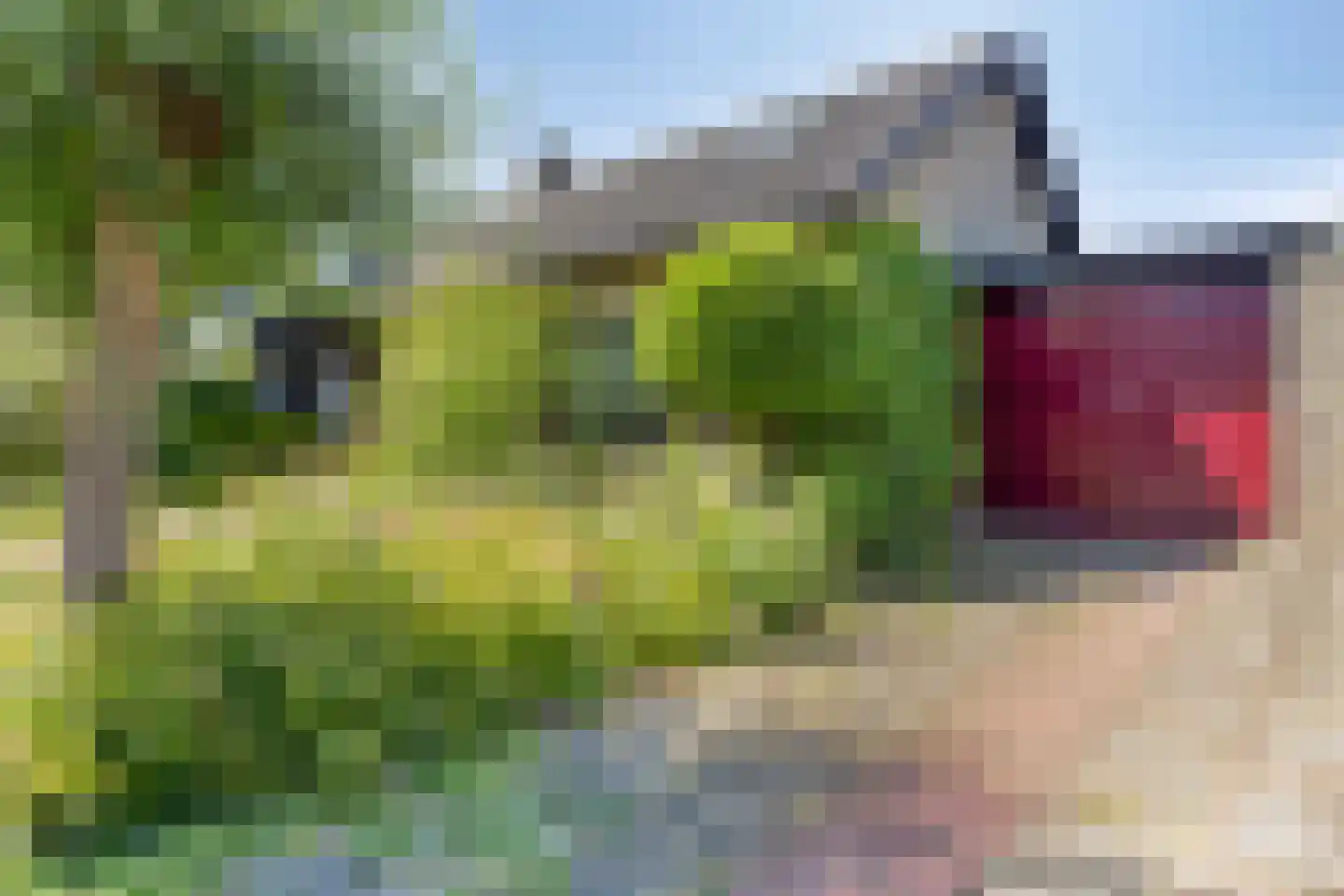 't Rond 6 Loenen aan de Vecht thumbnail 32