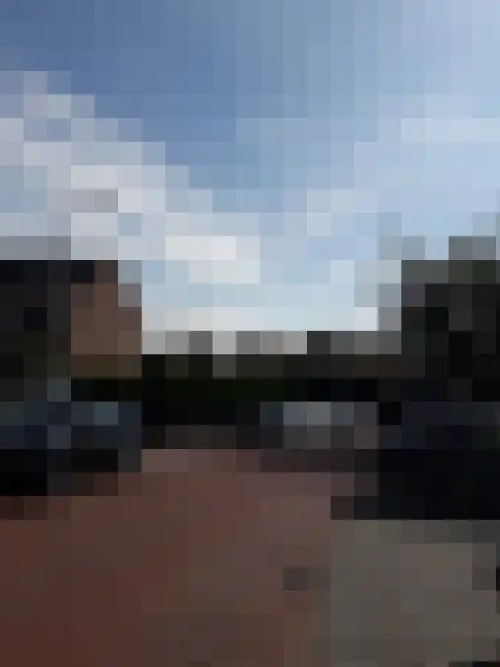 't Roode Hart 42 Velsen-Zuid thumbnail 6