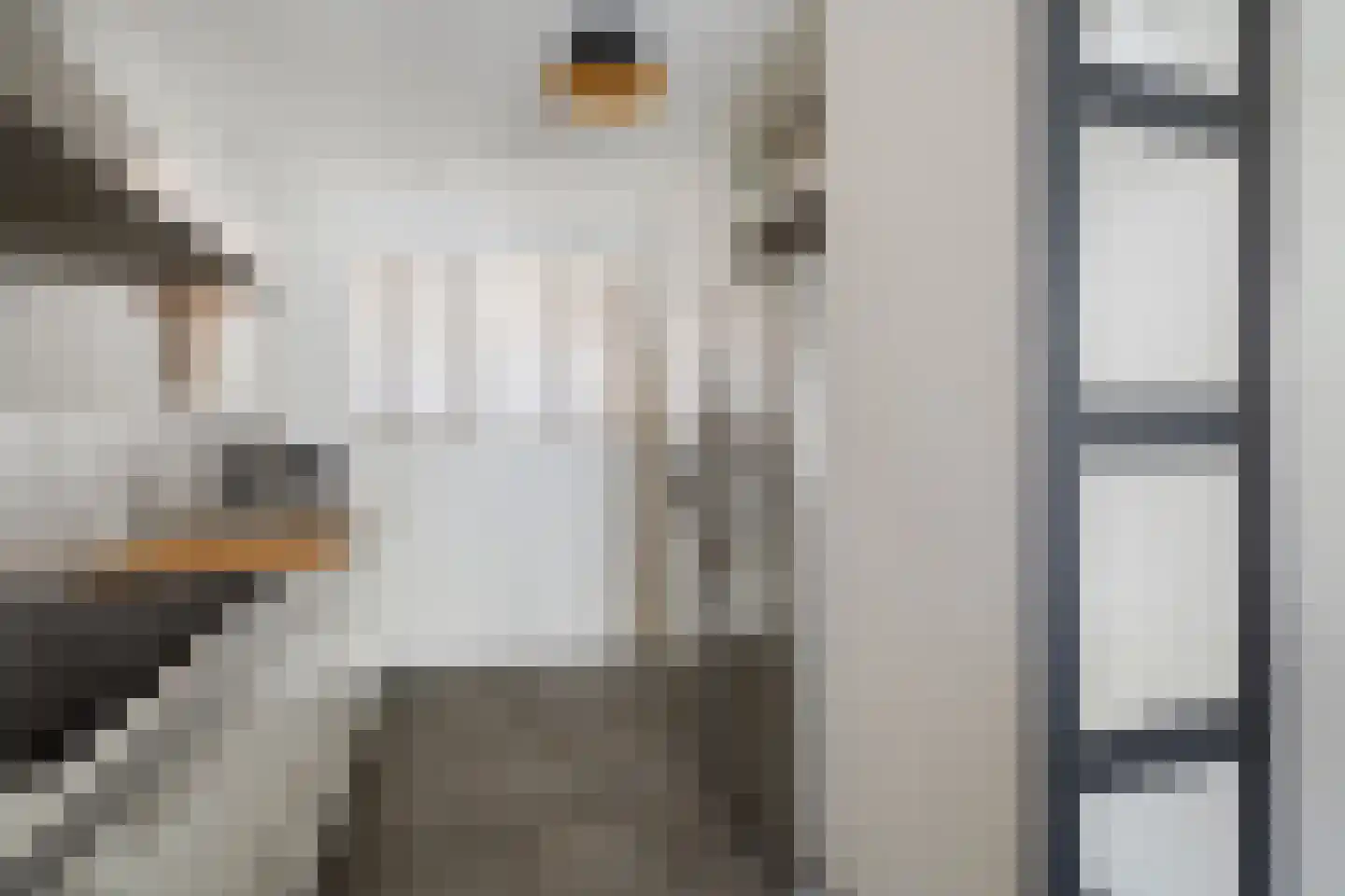 t' Sas 22 Breda thumbnail 11