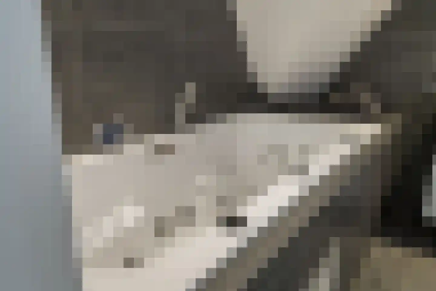 t' Sas 22 Breda thumbnail 16