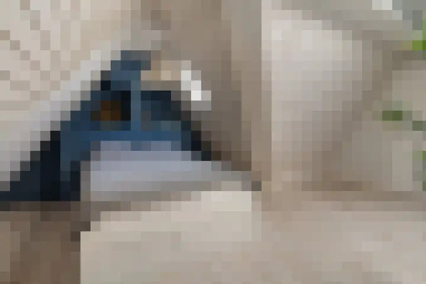 t' Sas 22 Breda thumbnail 26