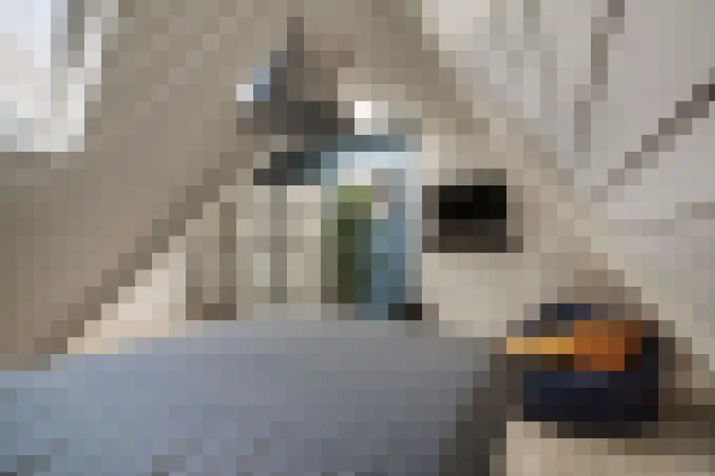 t' Sas 22 Breda thumbnail 27