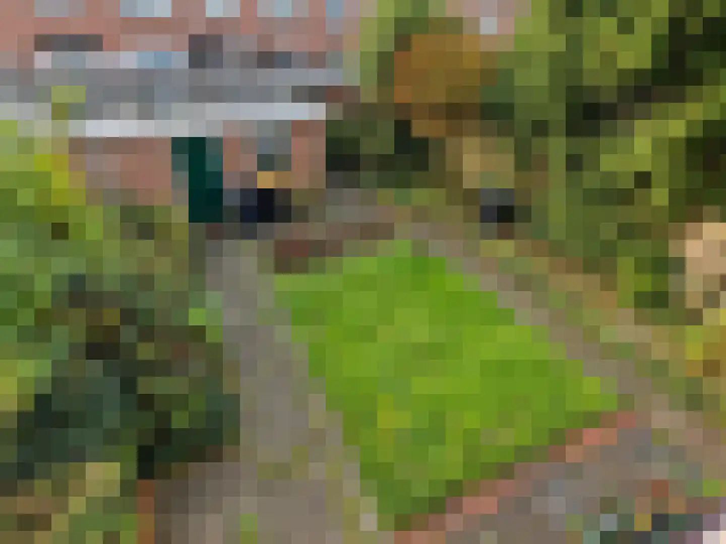 't Schagentje 16 Medemblik thumbnail 4