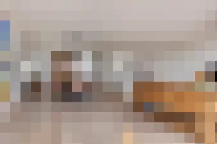 't Scheld 48 Wemeldinge thumbnail 11