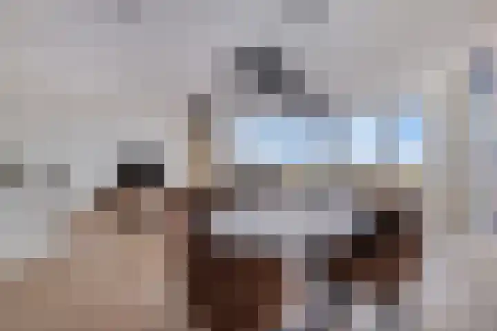 't Scheld 48 Wemeldinge thumbnail 13