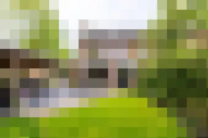 't Scheld 48 Wemeldinge thumbnail 14