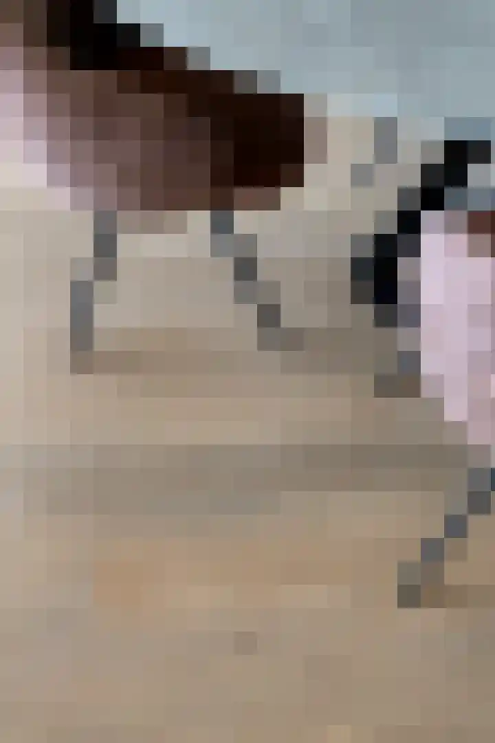 't Scheld 48 Wemeldinge thumbnail 15