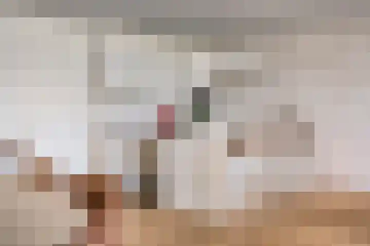 't Scheld 48 Wemeldinge thumbnail 16