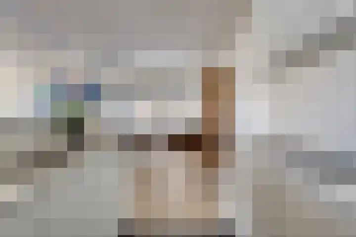 't Scheld 48 Wemeldinge thumbnail 18