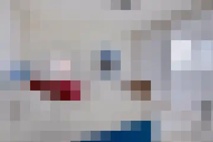 't Scheld 48 Wemeldinge thumbnail 26