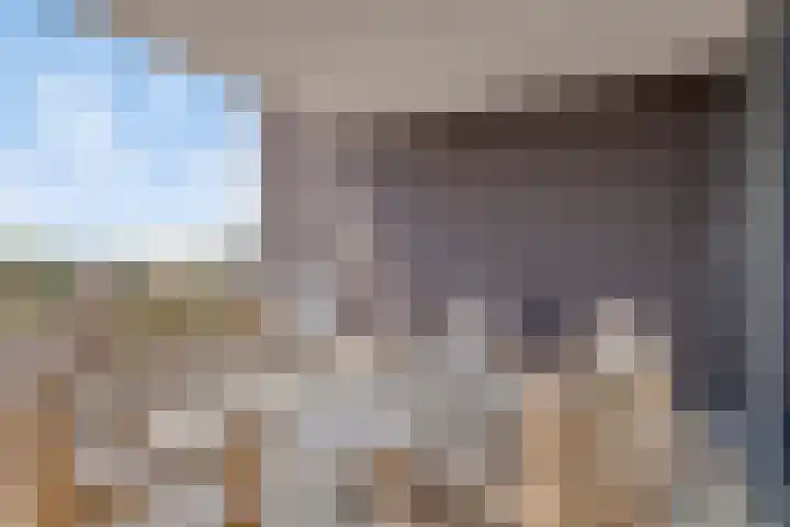 't Scheld 48 Wemeldinge thumbnail 29