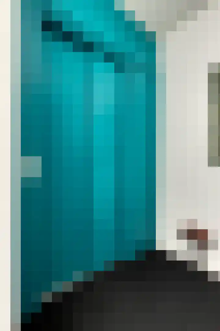 't Scheld 48 Wemeldinge thumbnail 32