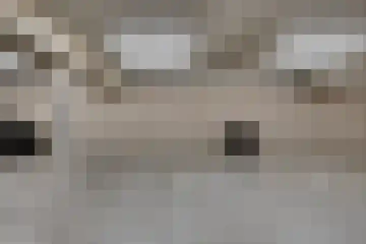 't Scheld 48 Wemeldinge thumbnail 37