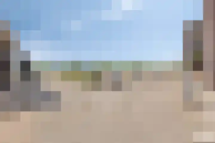 't Scheld 48 Wemeldinge thumbnail 42
