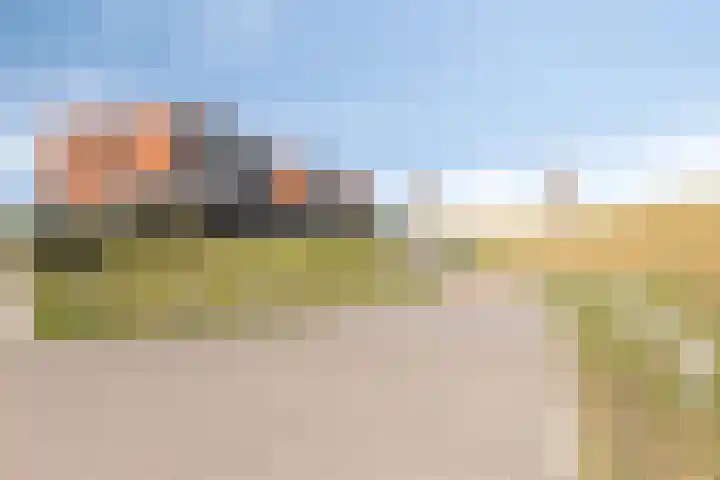 't Scheld 48 Wemeldinge thumbnail 44