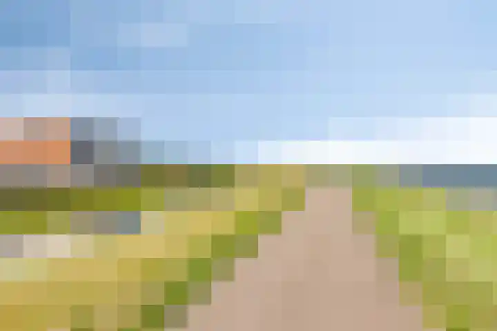 't Scheld 48 Wemeldinge thumbnail 45