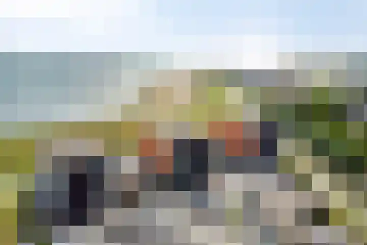 't Scheld 48 Wemeldinge thumbnail 47