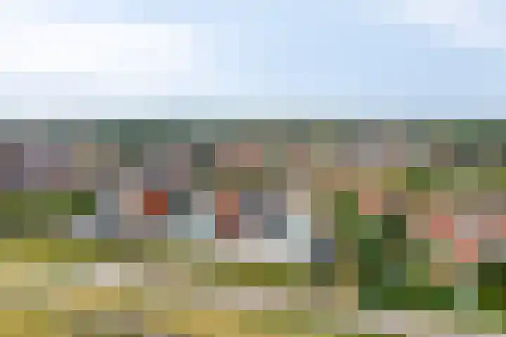 't Scheld 48 Wemeldinge thumbnail 49