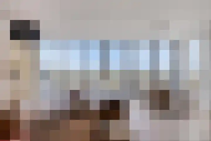 't Scheld 48 Wemeldinge thumbnail 5