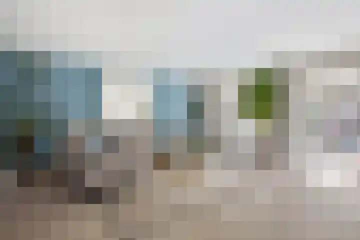 't Schip 21 Katwijk thumbnail 13
