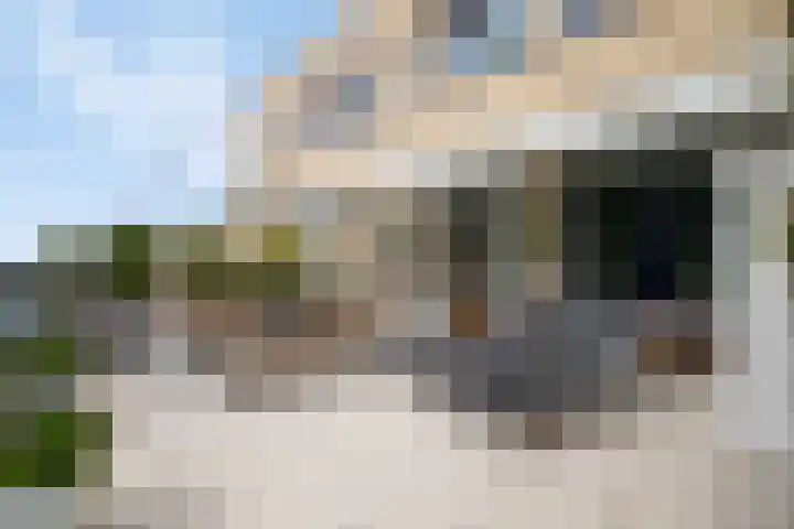 't Schip 21 Katwijk thumbnail 20