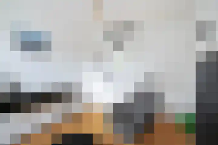 't Schip 21 Katwijk thumbnail 34
