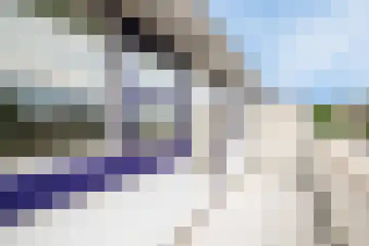 't Schip 21 Katwijk thumbnail 38