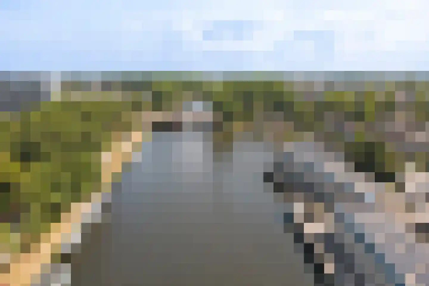 't Schip 8 Katwijk thumbnail 53