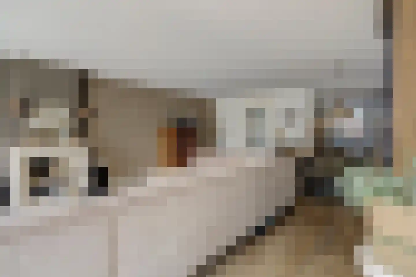 't Schip 8 Katwijk thumbnail 6