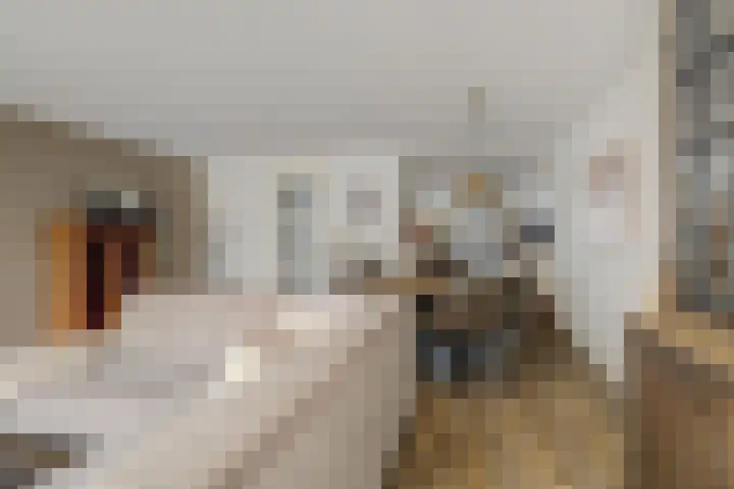 't Schip 8 Katwijk thumbnail 7