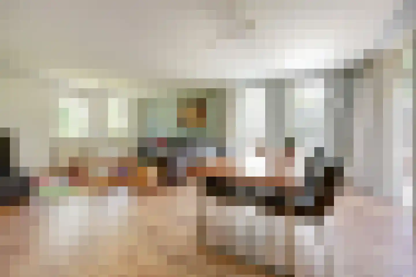 't Schoman 30 Gelselaar thumbnail 10