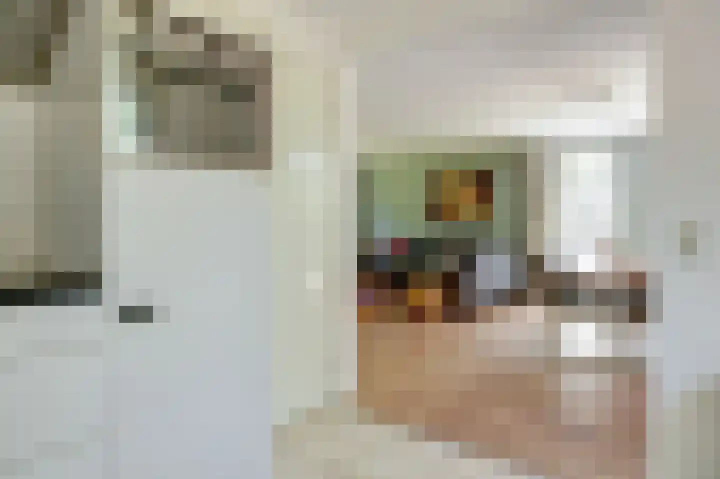't Schoman 30 Gelselaar thumbnail 11