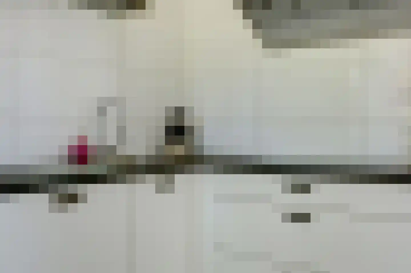 't Schoman 30 Gelselaar thumbnail 12