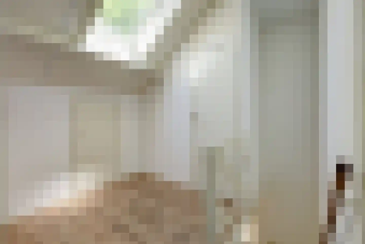 't Schoman 30 Gelselaar thumbnail 16