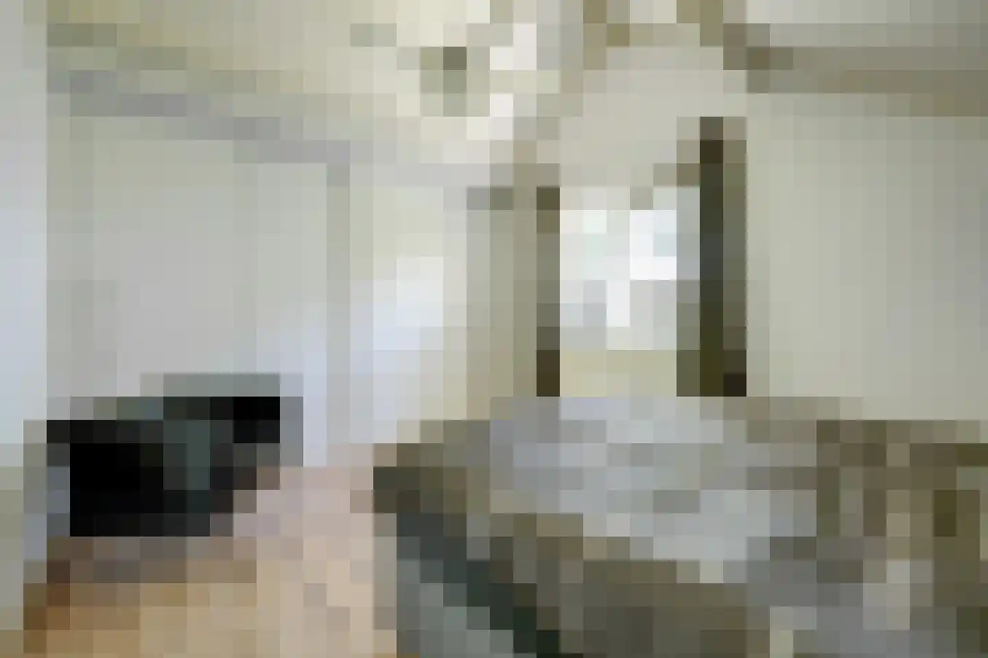 't Schoman 30 Gelselaar thumbnail 17