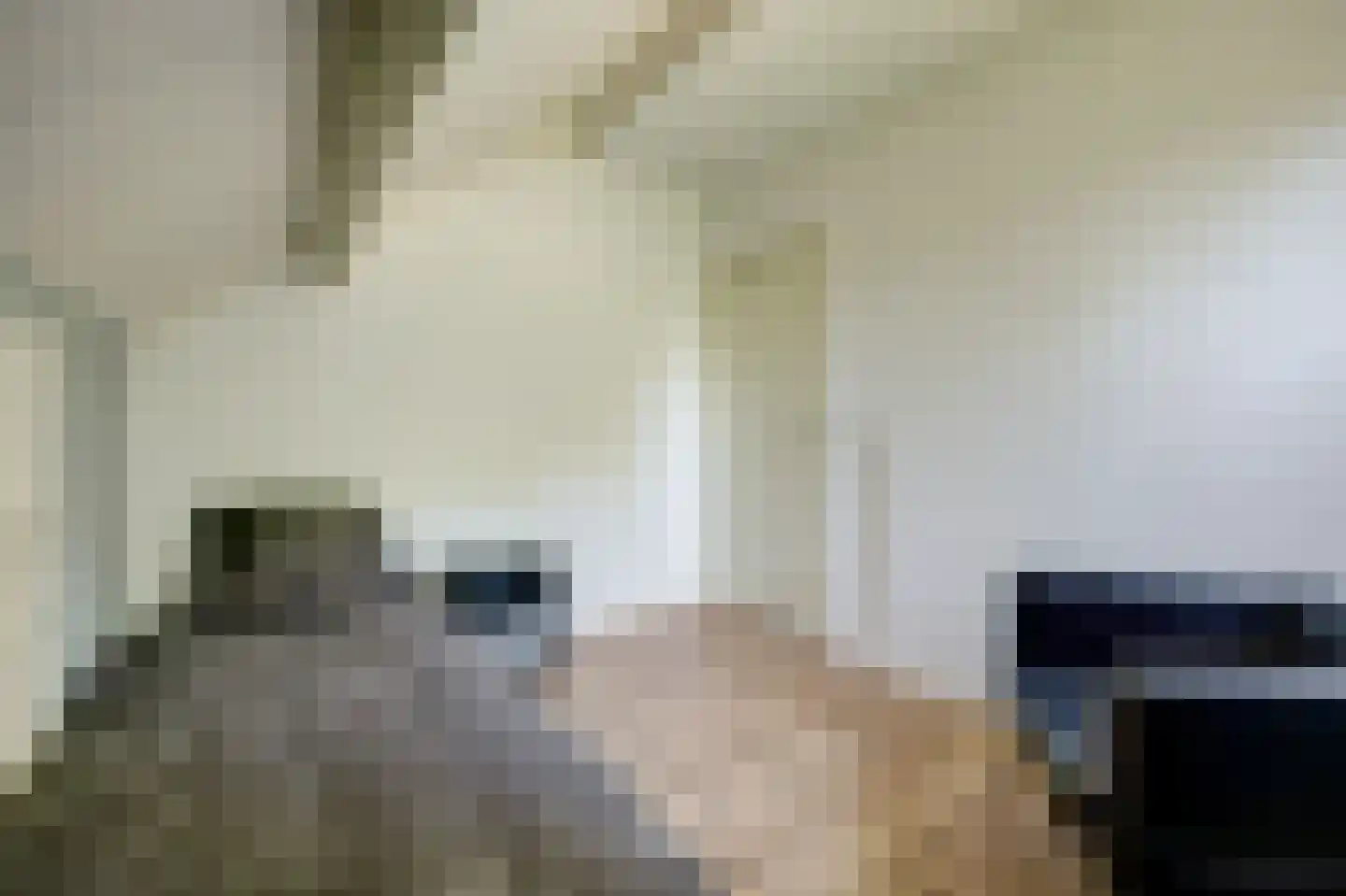 't Schoman 30 Gelselaar thumbnail 19